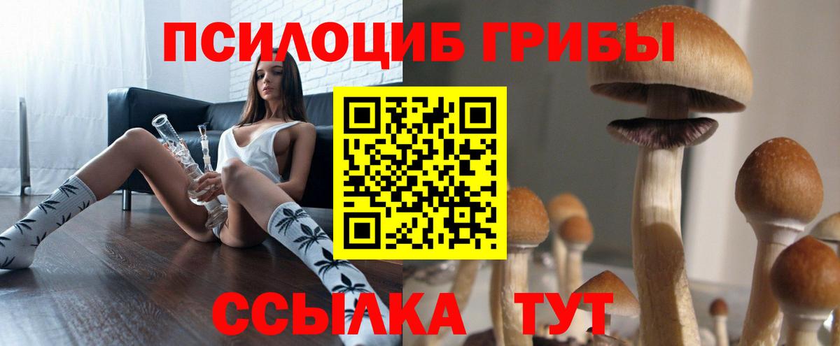 Кстово  где можно купить   Вход с VPN  Псилоцибиновые грибы Cubensis 