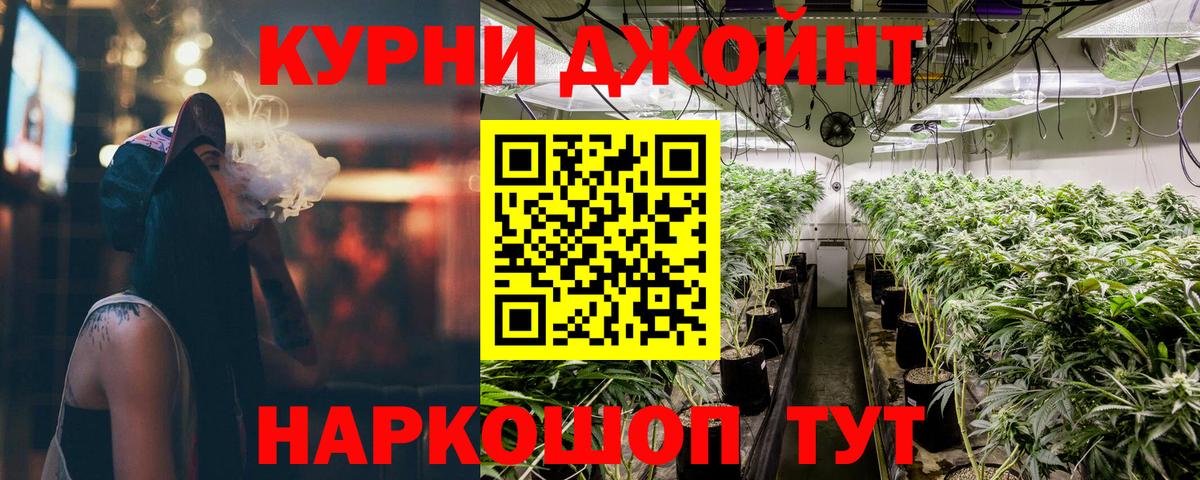 Конопля план Кстово